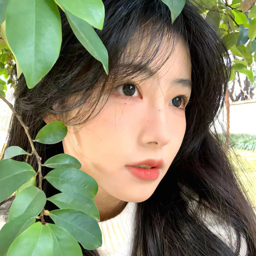 与鸭共舞