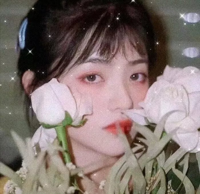 砂丘之女